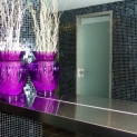 Ice Glass